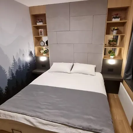 Central Lux Apartment