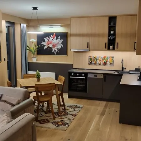 Central Lux Apartment Bjelasnica